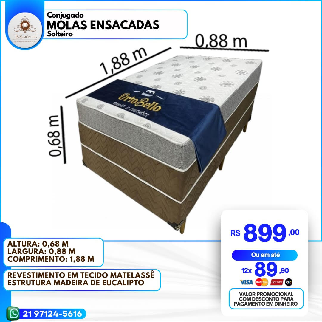 2024_solteiro_2